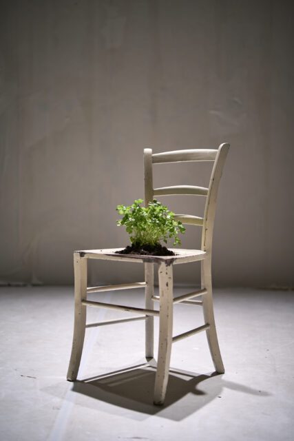 FOOD_01_JonaHarnischmacher_Chair